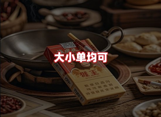 专业团队